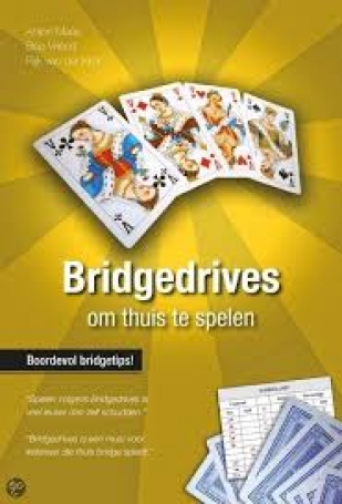 images/productimages/small/bridgedrivesgeel.jpg